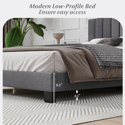 Goflame Queen Bed Framewith Adjustable Arch Tufted Headboard Mattress Foundation