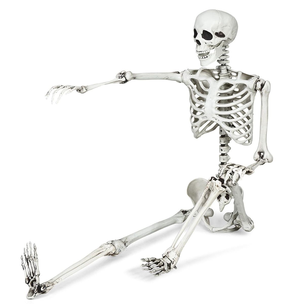 Halloween Life Size Full Body Skeleton, 5.4Ft Festival Skeleton Prop Decoration w/7 Movable Components