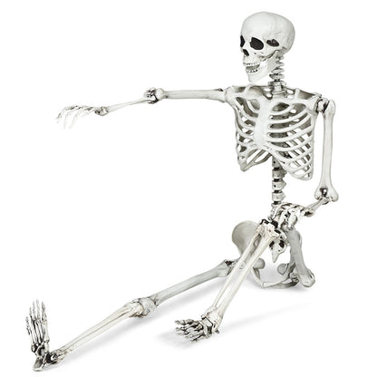 Halloween Life Size Full Body Skeleton, 5.4Ft Festival Skeleton Prop Decoration w/7 Movable Components