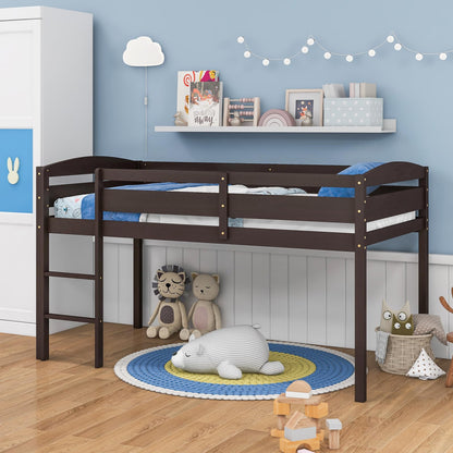 Goflame Loft Bed with Ladder