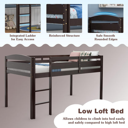 Goflame Loft Bed with Ladder