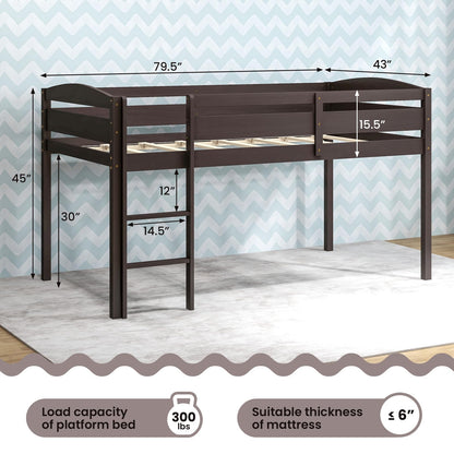 Goflame Loft Bed with Ladder
